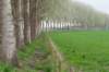 lunetten_008_small.jpg