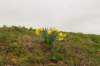 lunetten_012_small.jpg