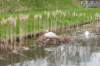 lunetten_015_small.jpg