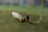 lunetten_016_small.jpg