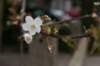 lunetten_019_small.jpg