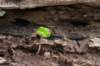lunetten_023_small.jpg