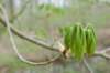 lunetten_026_small.jpg