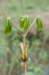 lunetten_027_small.jpg