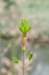 lunetten_028_small.jpg