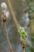 lunetten_029_small.jpg