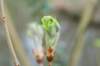 lunetten_030_small.jpg