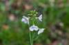 lunetten_034_small.jpg