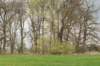 lunetten_035_small.jpg