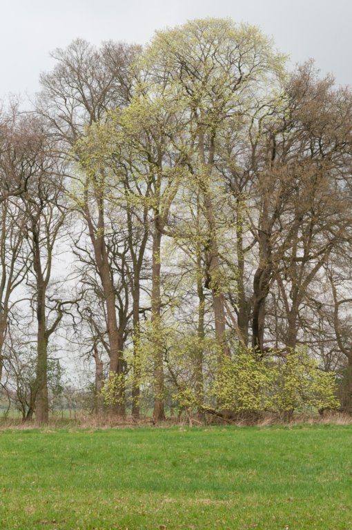 lunetten_036.jpg
