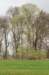 lunetten_036_small.jpg