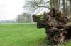 lunetten_037_small.jpg
