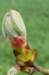 lunetten_038_small.jpg
