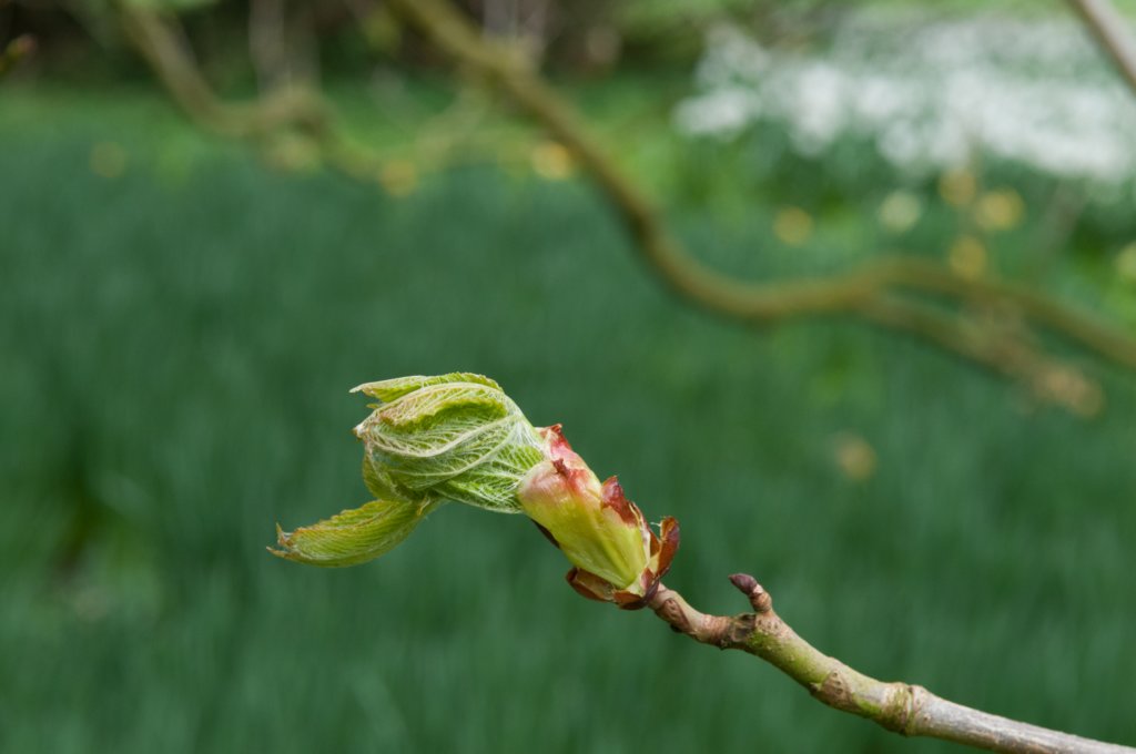lunetten_040.jpg