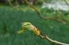 lunetten_040_small.jpg