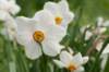 lunetten_041_small.jpg