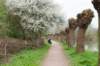 lunetten_042_small.jpg