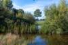 gagelbos_003_small.jpg