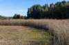 gagelbos_004_small.jpg