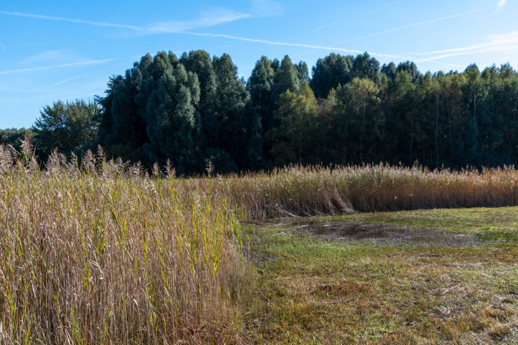 gagelbos_005.jpg