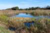 gagelbos_006_small.jpg