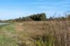 gagelbos_007_small.jpg