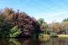 gagelbos_008_small.jpg