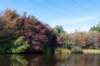 gagelbos_009_small.jpg