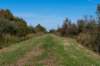 gagelbos_010_small.jpg
