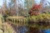 gagelbos_011_small.jpg