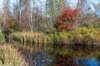 gagelbos_012_small.jpg