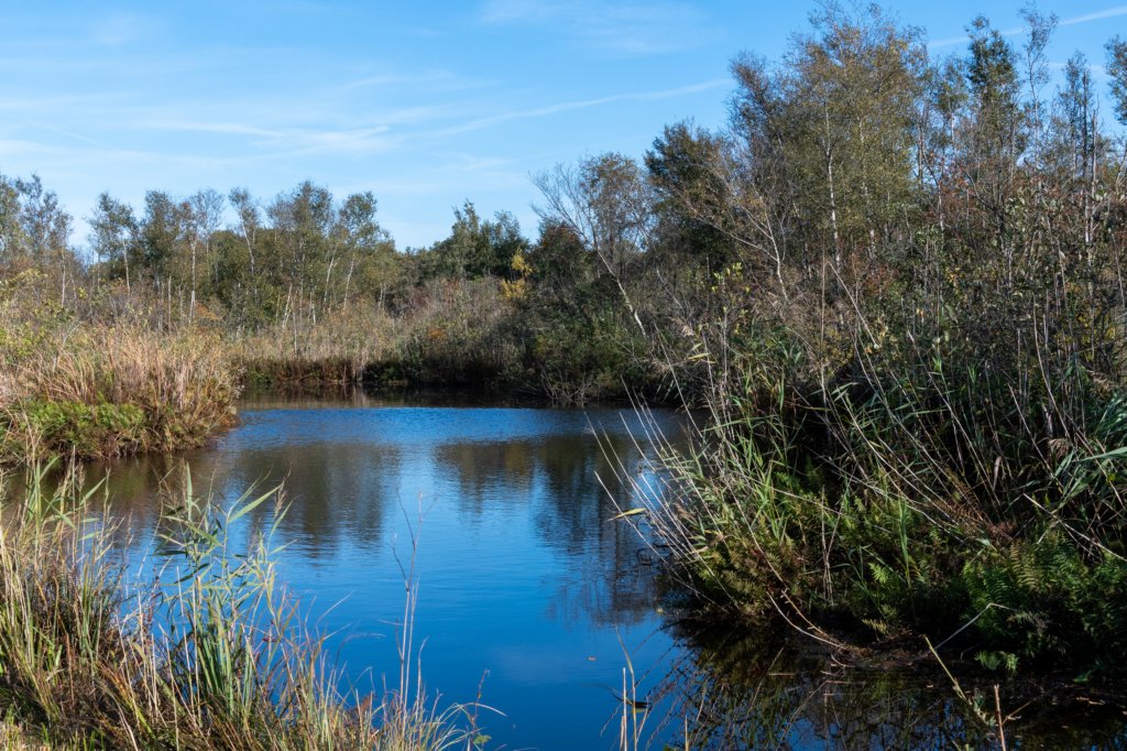 gagelbos_013.jpg