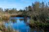 gagelbos_013_small.jpg