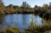 gagelbos_014_small.jpg