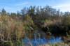 gagelbos_015_small.jpg