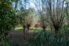 gagelbos_017_small.jpg