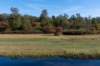 gagelbos_023_small.jpg