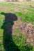 gagelbos_030_small.jpg