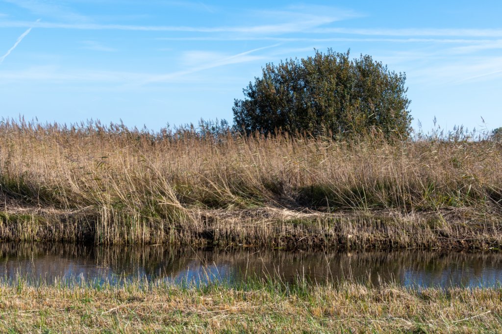 gagelbos_032.jpg