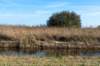 gagelbos_032_small.jpg