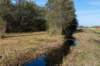 gagelbos_036_small.jpg
