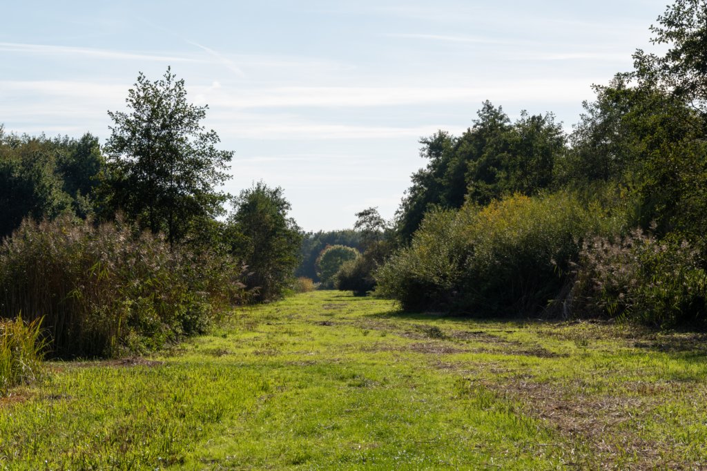 gagelbos_040.jpg