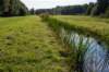 gagelbos_041_small.jpg