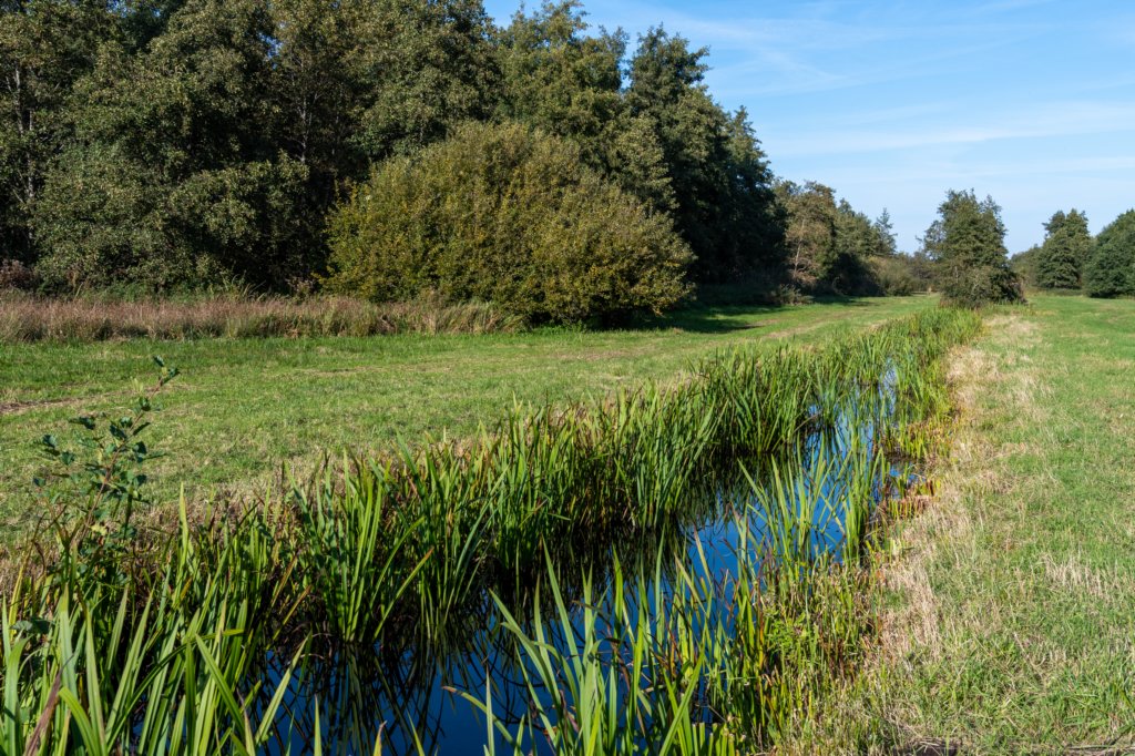 gagelbos_042.jpg