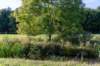 gagelbos_045_small.jpg