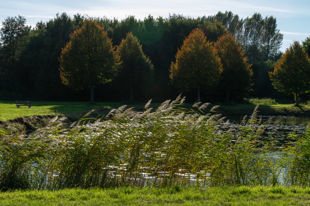 gagelbos_047.jpg