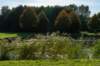 gagelbos_047_small.jpg