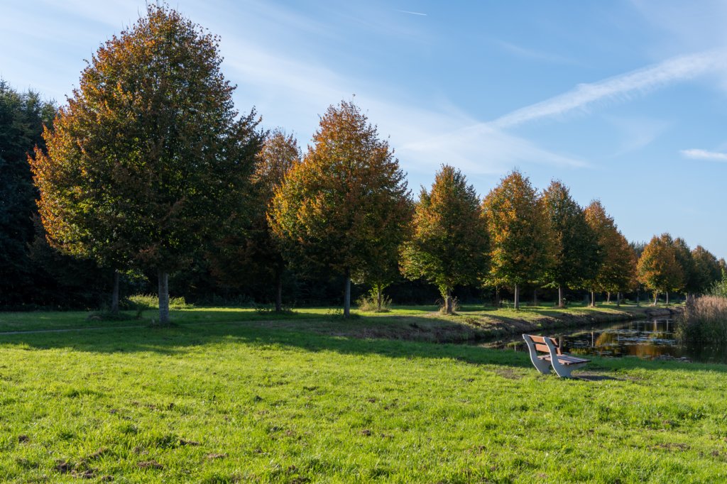 gagelbos_050.jpg