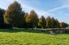 gagelbos_050_small.jpg