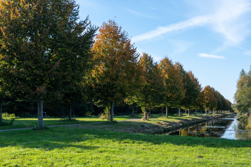 gagelbos_051.jpg